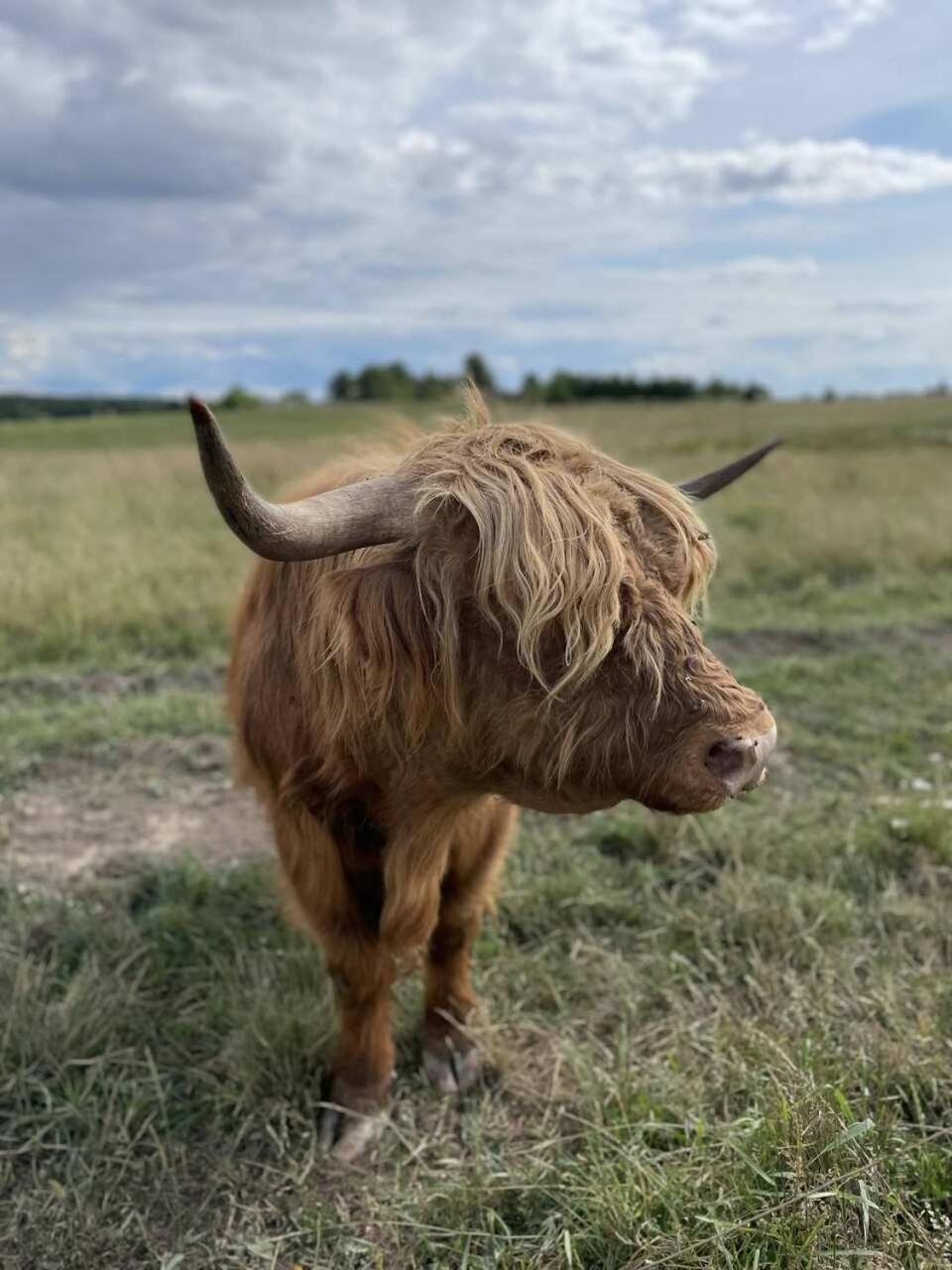 Vila Ciche Wody Budry Exteriér fotografie